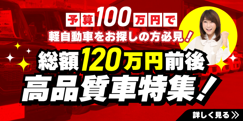 予算100万円で車を探す